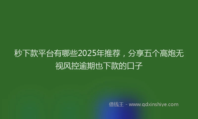 秒下款平台有哪些2025年推荐，分享五个高炮无视风控逾期也下款的口子