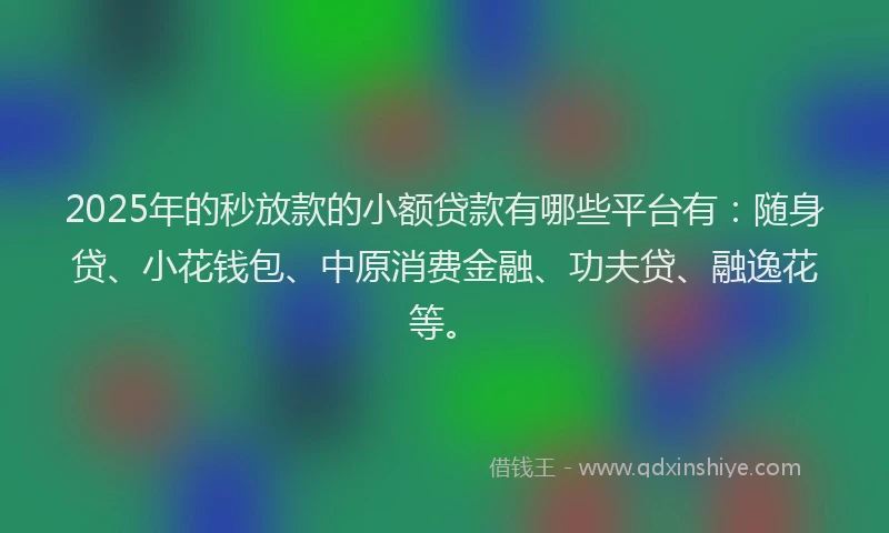 2025年的秒放款的小额贷款有哪些平台有：随身贷、小花钱包、中原消费金融、功夫贷、融逸花等。