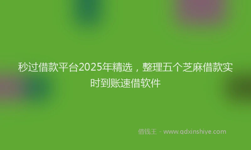 秒过借款平台2025年精选，整理五个芝麻借款实时到账速借软件