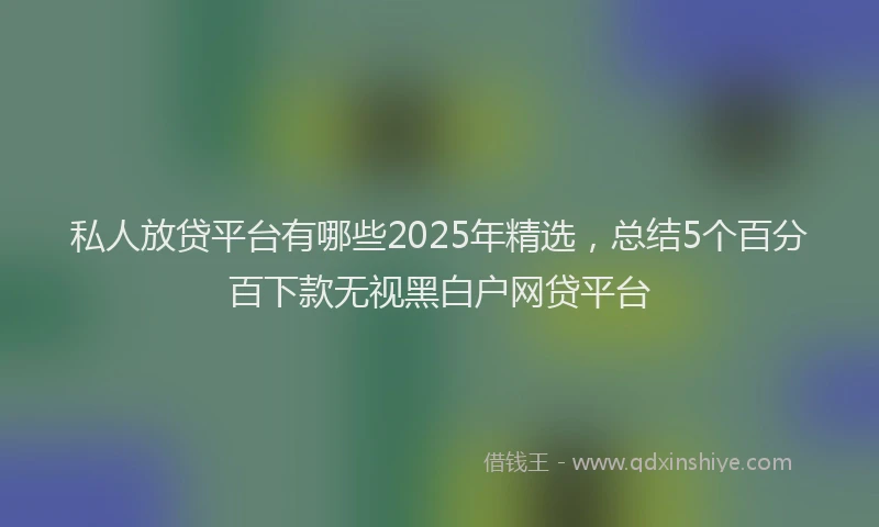 私人放贷平台有哪些2025年精选，总结5个百分百下款无视黑白户网贷平台
