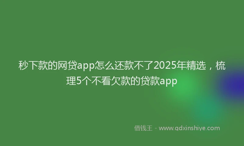 秒下款的网贷app怎么还款不了2025年精选，梳理5个不看欠款的贷款app