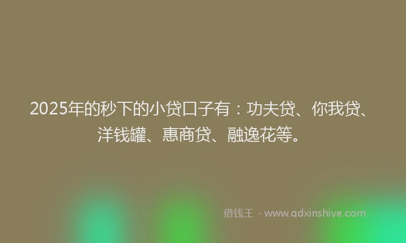 2025年的秒下的小贷口子有：功夫贷、你我贷、洋钱罐、惠商贷、融逸花等。