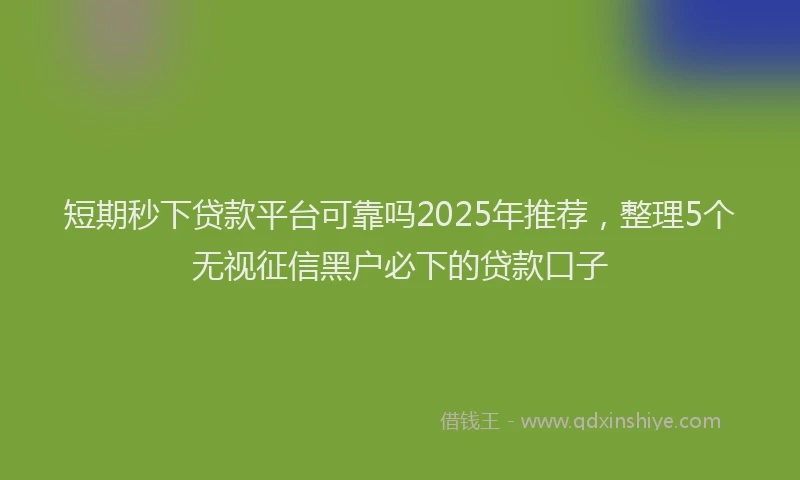 短期秒下贷款平台可靠吗2025年推荐，整理5个无视征信黑户必下的贷款口子