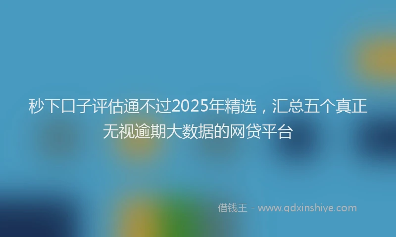 秒下口子评估通不过2025年精选，汇总五个真正无视逾期大数据的网贷平台