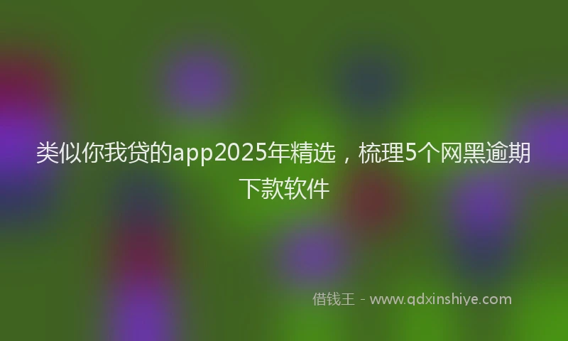 类似你我贷的app2025年精选，梳理5个网黑逾期下款软件