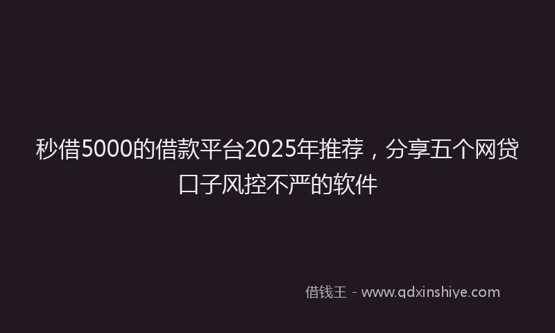 秒借5000的借款平台2025年推荐，分享五个网贷口子风控不严的软件