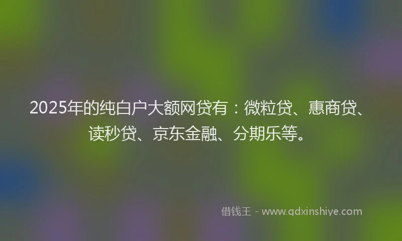 2025年的纯白户大额网贷有：微粒贷、惠商贷、读秒贷、京东金融、分期乐等。
