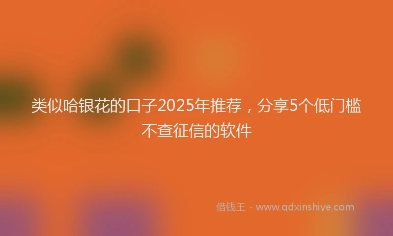 类似哈银花的口子2025年推荐，分享5个低门槛不查征信的软件