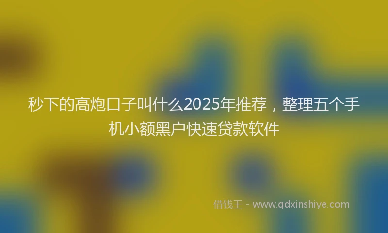 秒下的高炮口子叫什么2025年推荐，整理五个手机小额黑户快速贷款软件