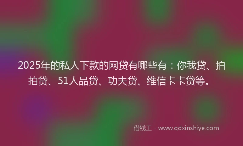 2025年的私人下款的网贷有哪些有：你我贷、拍拍贷、51人品贷、功夫贷、维信卡卡贷等。