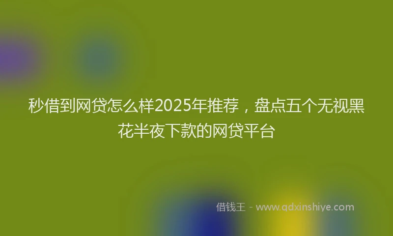 秒借到网贷怎么样2025年推荐，盘点五个无视黑花半夜下款的网贷平台