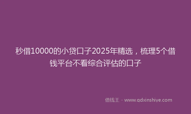 秒借10000的小贷口子2025年精选，梳理5个借钱平台不看综合评估的口子
