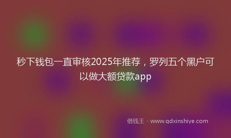 秒下钱包一直审核2025年推荐，罗列五个黑户可以做大额贷款app