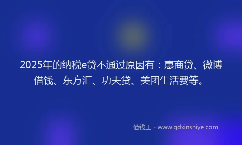 2025年的纳税e贷不通过原因有：惠商贷、微博借钱、东方汇、功夫贷、美团生活费等。