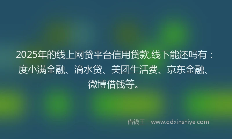 2025年的线上网贷平台信用贷款,线下能还吗有：度小满金融、滴水贷、美团生活费、京东金融、微博借钱等。