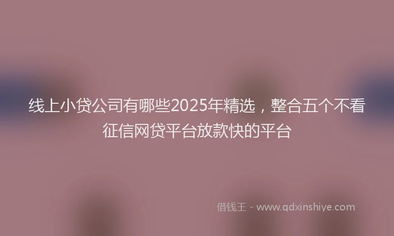 线上小贷公司有哪些2025年精选，整合五个不看征信网贷平台放款快的平台