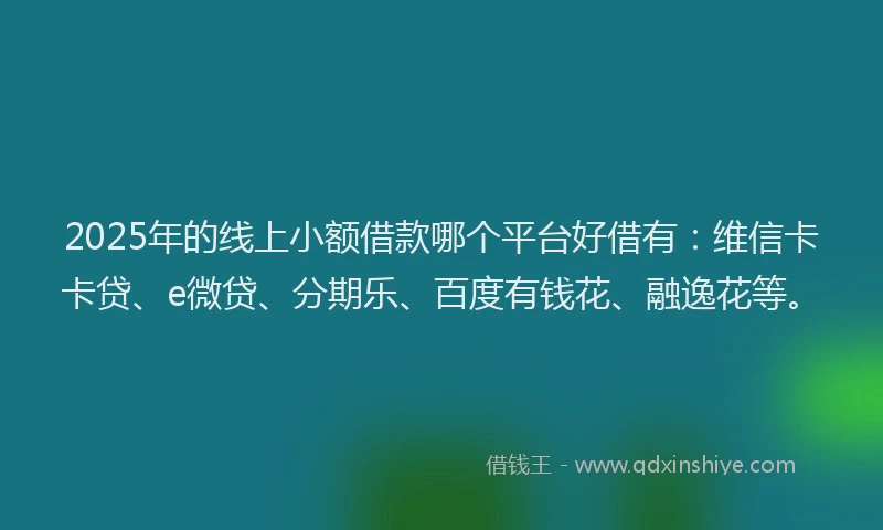 2025年的线上小额借款哪个平台好借有：维信卡卡贷、e微贷、分期乐、百度有钱花、融逸花等。