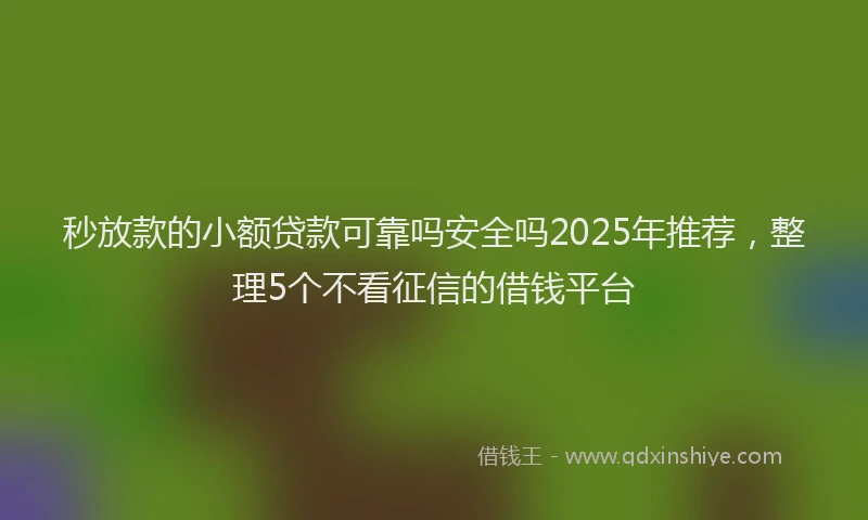 秒放款的小额贷款可靠吗安全吗2025年推荐，整理5个不看征信的借钱平台