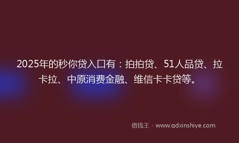 2025年的秒你贷入口有：拍拍贷、51人品贷、拉卡拉、中原消费金融、维信卡卡贷等。