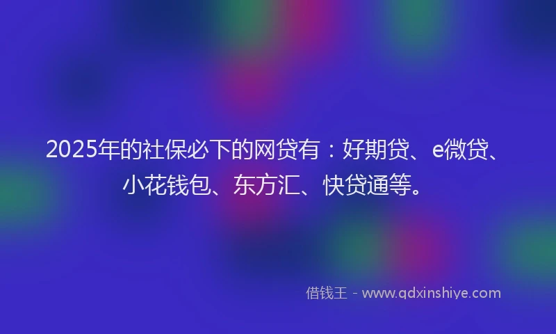 2025年的社保必下的网贷有：好期贷、e微贷、小花钱包、东方汇、快贷通等。