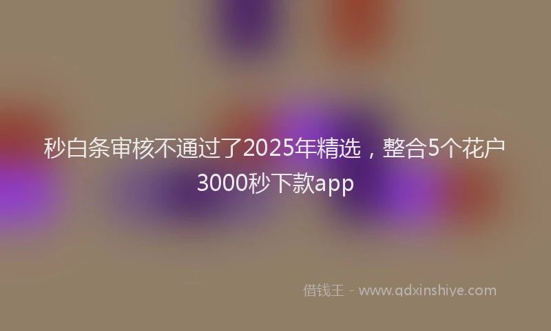 秒白条审核不通过了2025年精选，整合5个花户3000秒下款app