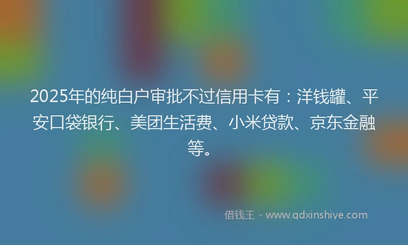 2025年的纯白户审批不过信用卡有：洋钱罐、平安口袋银行、美团生活费、小米贷款、京东金融等。