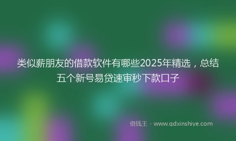类似薪朋友的借款软件有哪些2025年精选，总结五个新号易贷速审秒下款口子