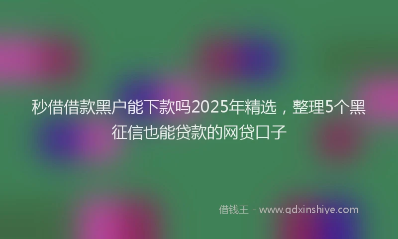 秒借借款黑户能下款吗2025年精选，整理5个黑征信也能贷款的网贷口子