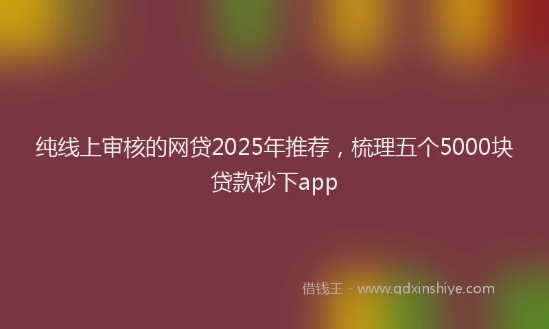 纯线上审核的网贷2025年推荐，梳理五个5000块贷款秒下app