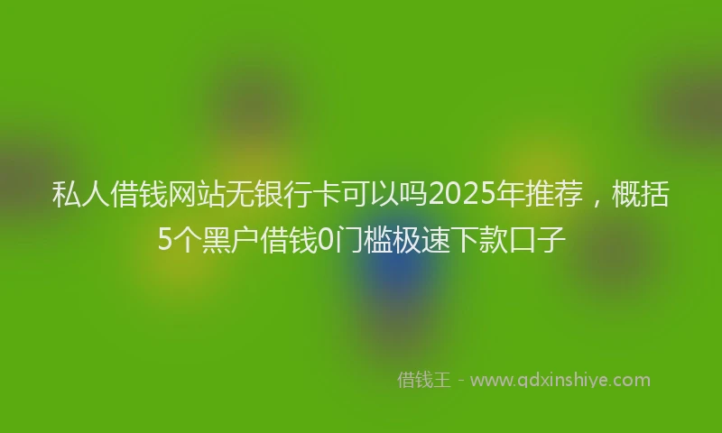 私人借钱网站无银行卡可以吗2025年推荐，概括5个黑户借钱0门槛极速下款口子