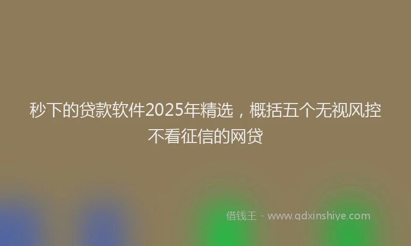 秒下的贷款软件2025年精选，概括五个无视风控不看征信的网贷
