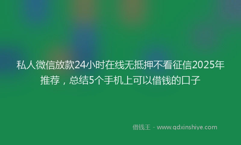 私人微信放款24小时在线无抵押不看征信2025年推荐，总结5个手机上可以借钱的口子