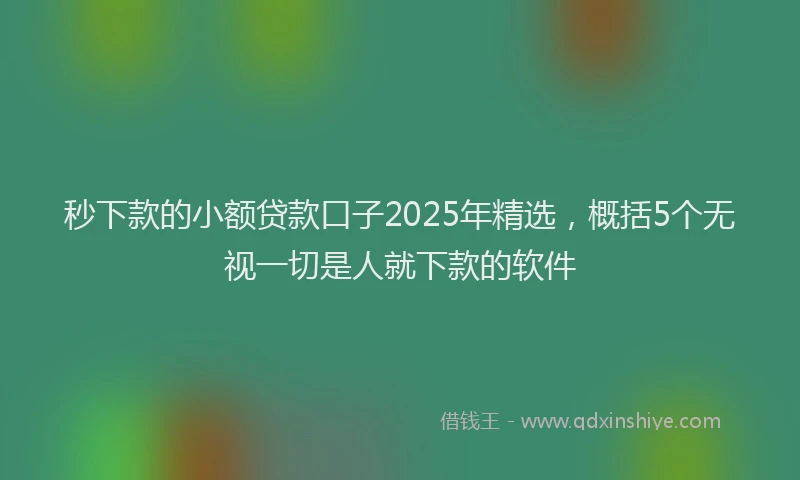 秒下款的小额贷款口子2025年精选，概括5个无视一切是人就下款的软件