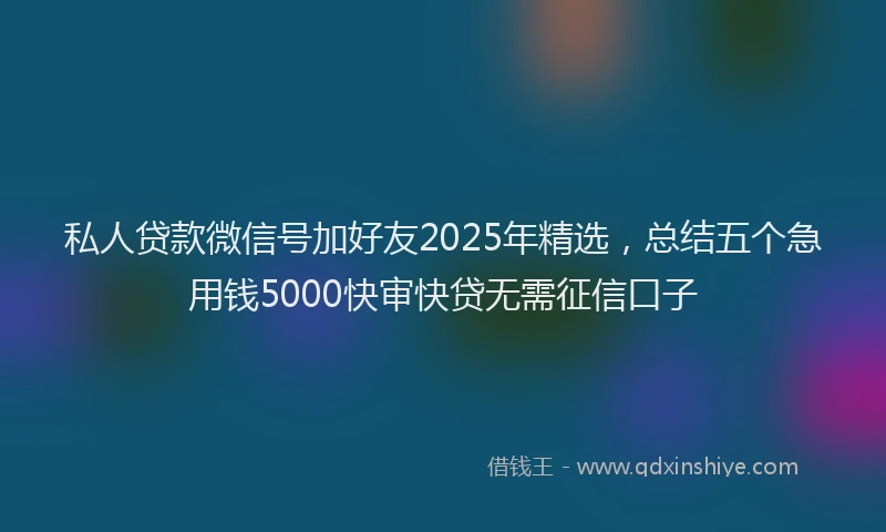 私人贷款微信号加好友2025年精选，总结五个急用钱5000快审快贷无需征信口子