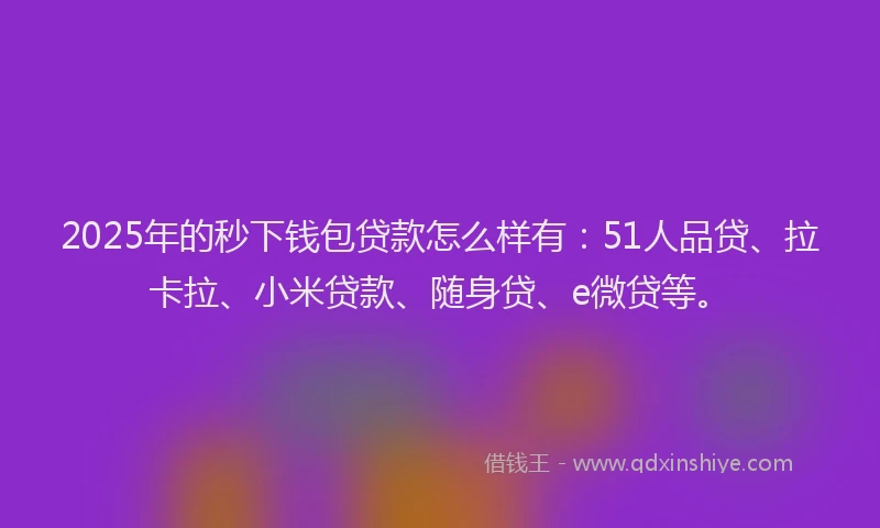 2025年的秒下钱包贷款怎么样有：51人品贷、拉卡拉、小米贷款、随身贷、e微贷等。