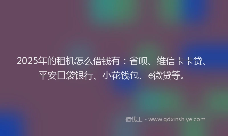 2025年的租机怎么借钱有：省呗、维信卡卡贷、平安口袋银行、小花钱包、e微贷等。