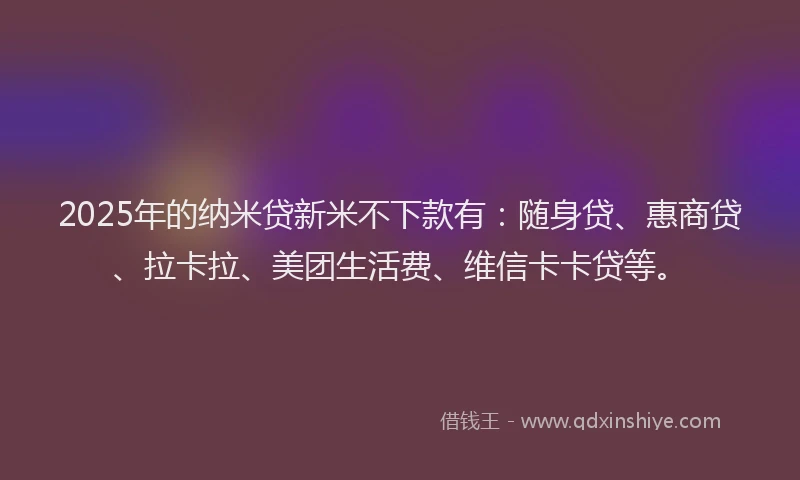 2025年的纳米贷新米不下款有：随身贷、惠商贷、拉卡拉、美团生活费、维信卡卡贷等。