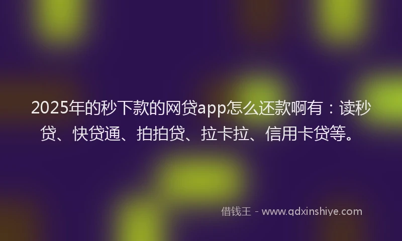 2025年的秒下款的网贷app怎么还款啊有：读秒贷、快贷通、拍拍贷、拉卡拉、信用卡贷等。