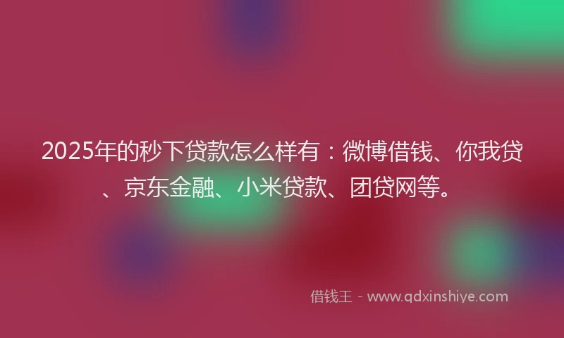2025年的秒下贷款怎么样有：微博借钱、你我贷、京东金融、小米贷款、团贷网等。