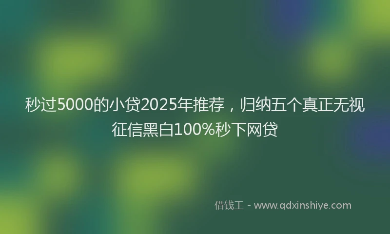 秒过5000的小贷2025年推荐，归纳五个真正无视征信黑白100%秒下网贷