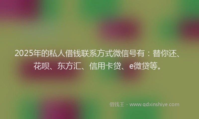 2025年的私人借钱联系方式微信号有：替你还、花呗、东方汇、信用卡贷、e微贷等。