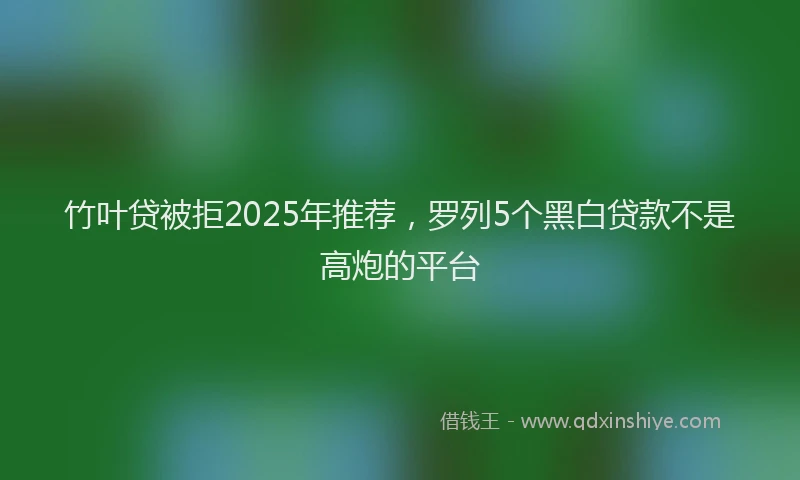 竹叶贷被拒2025年推荐，罗列5个黑白贷款不是高炮的平台