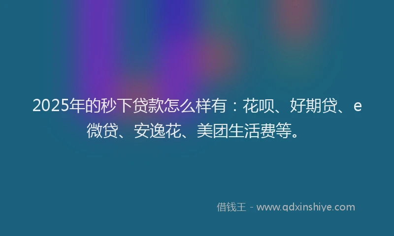 2025年的秒下贷款怎么样有：花呗、好期贷、e微贷、安逸花、美团生活费等。