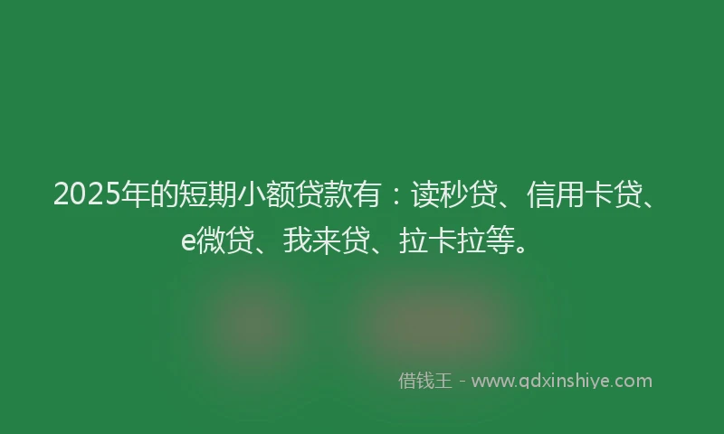 2025年的短期小额贷款有：读秒贷、信用卡贷、e微贷、我来贷、拉卡拉等。