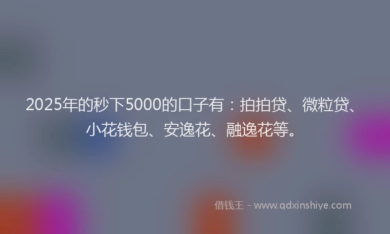 2025年的秒下5000的口子有：拍拍贷、微粒贷、小花钱包、安逸花、融逸花等。