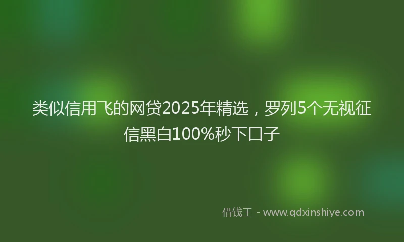 类似信用飞的网贷2025年精选，罗列5个无视征信黑白100%秒下口子