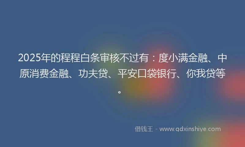 2025年的程程白条审核不过有：度小满金融、中原消费金融、功夫贷、平安口袋银行、你我贷等。