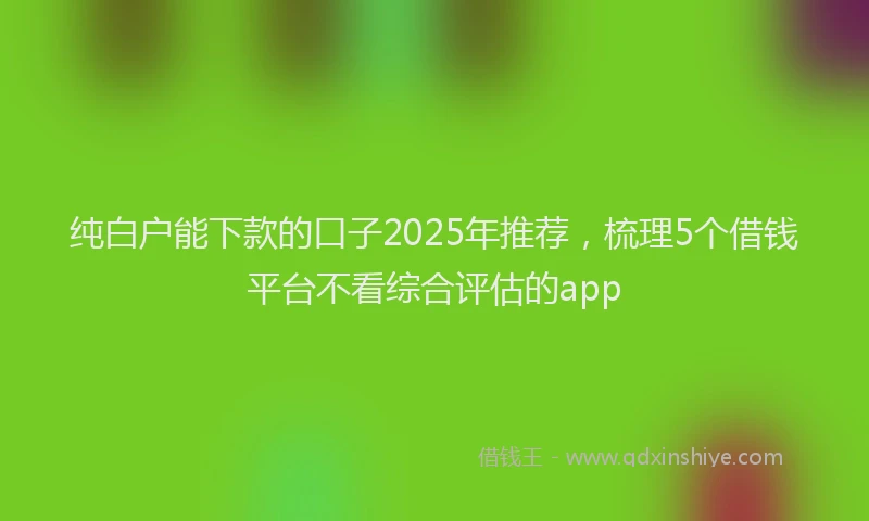 纯白户能下款的口子2025年推荐，梳理5个借钱平台不看综合评估的app