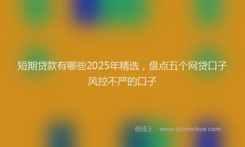短期贷款有哪些2025年精选，盘点五个网贷口子风控不严的口子