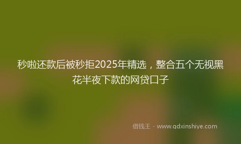 秒啦还款后被秒拒2025年精选，整合五个无视黑花半夜下款的网贷口子